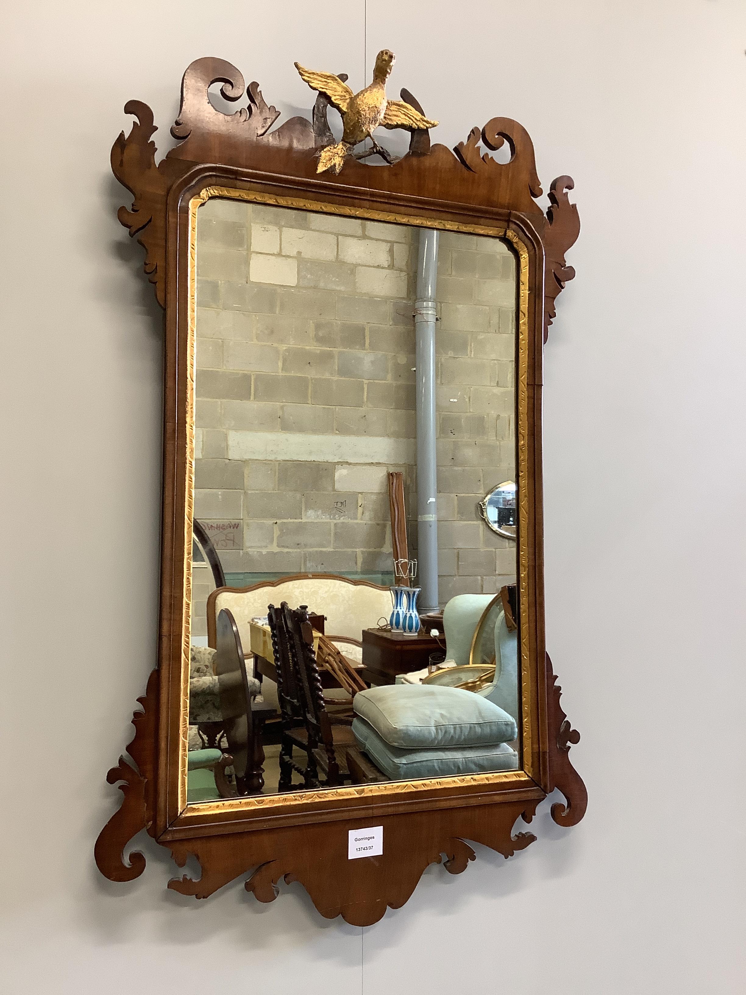 A George III mahogany and parcel gilt mirror, width 58cm, height 99cm